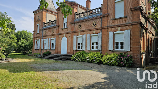 Castle 1