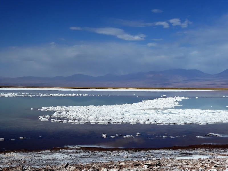 LAGUNA CEJAR, OJOS DEL SALAR Y LAGUNA TEBINQUINCHE.ATACAMA - CHILE: Atacama ( con extensión a Uyuni) y Carretera Austral (6)