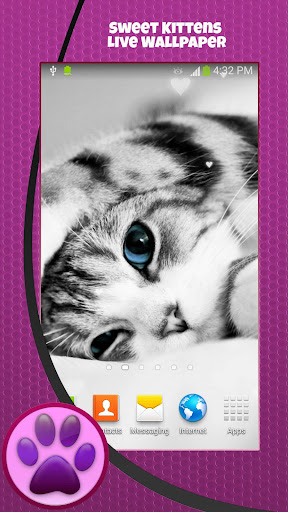 免費下載個人化APP|Sweet Kittens Live Wallpaper app開箱文|APP開箱王