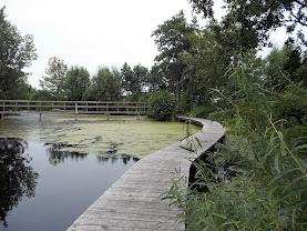 Vlonderpad op de Bergvlietsekade