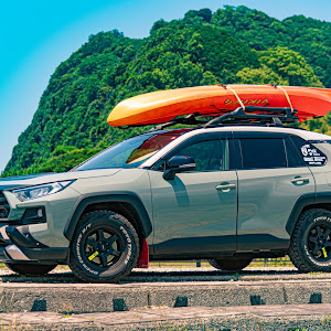 RAV4 MXAA54