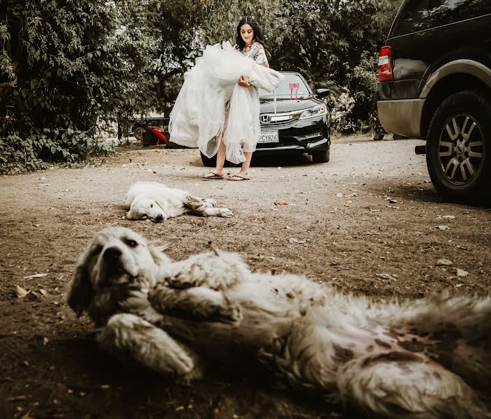 Fotógrafo de casamento Milton Rios (miltonrios). Foto de 26 de agosto 2018