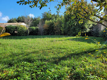 terrain à Le bois-plage-en-re (17)