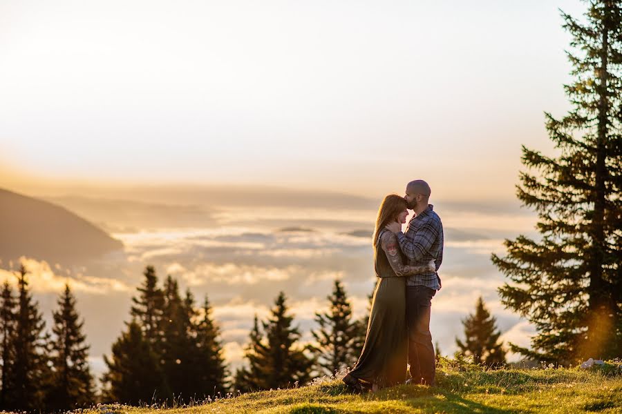 Fotografo di matrimoni Surfin Birds Photography And Film (bettiplach). Foto del 11 gennaio 2019