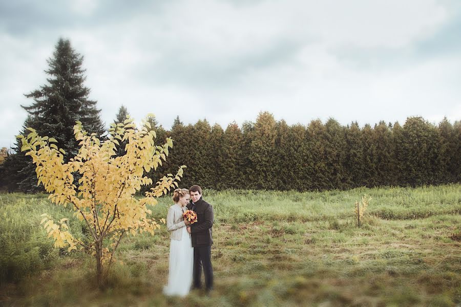 Wedding photographer Anastasiya Nikolaeva (a-nik86). Photo of 30 January 2014