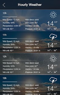 Weather Forecast Pro Screenshot