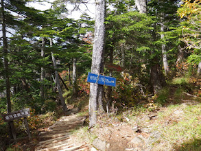 胡桃島（右）へ