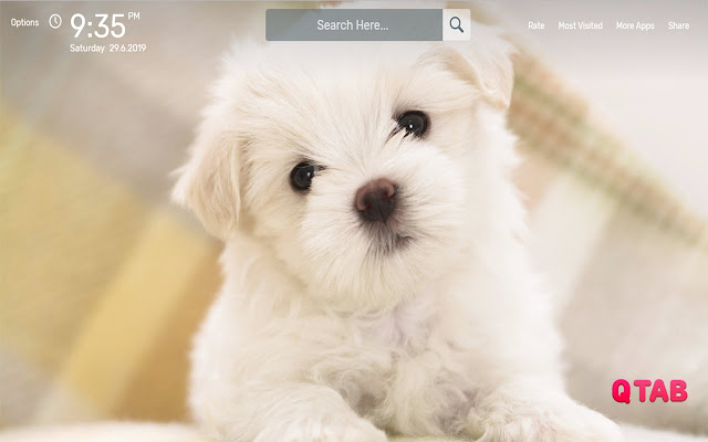 Puppies Wallpapers HD Theme