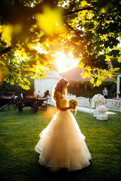 Photographe de mariage Dima Zaharia (dimanrg). Photo du 19 décembre 2016