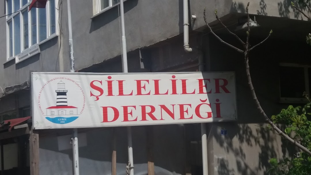 ileliler Dernei