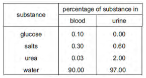 Urine Formation