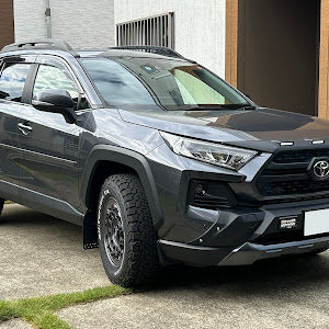 RAV4 MXAA54