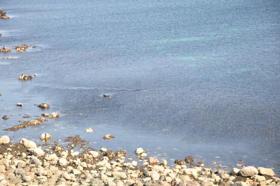 Views of Gruinard Bay from the A832