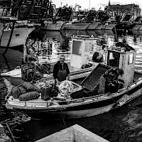 ritorno al porto di 