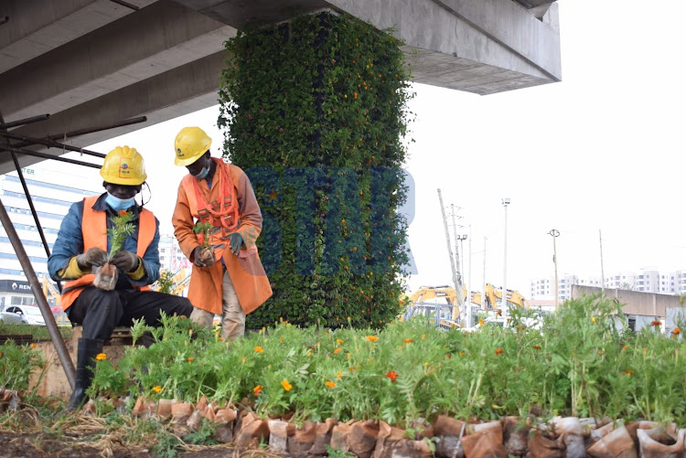A view of a Beautified section of the Nairobi Expressway at Bellevue. The flowers and plants are sourced from Lang'ata Barracks, Wilson and Katan construction site. The exercise is aimed at creating a balance and reduction of soil erosion. The flowers, plants and grass are planted on pipe cubes which are then fitted on the road beams. February 3, 2022/ CHARLENE MALWA
