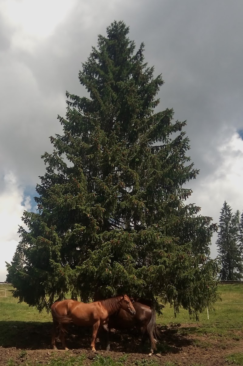 La natura e i suoi abitanti di EleBuuh