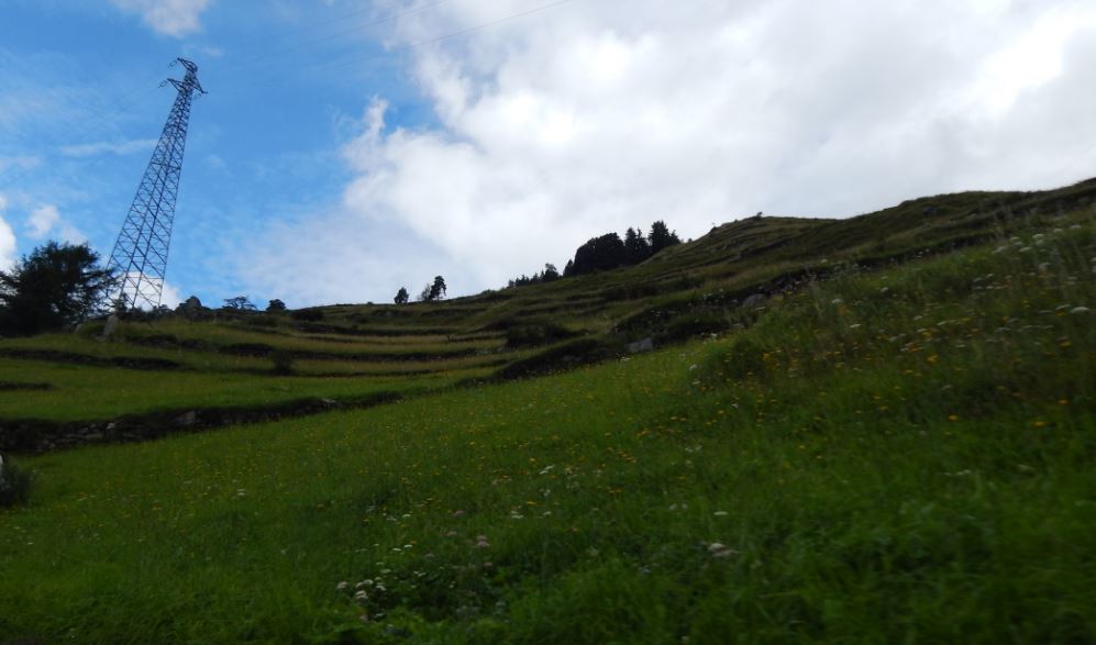 Tappeto verde... di Gufina