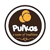 PULKAS, Vanasthalipuram, Hyderabad logo