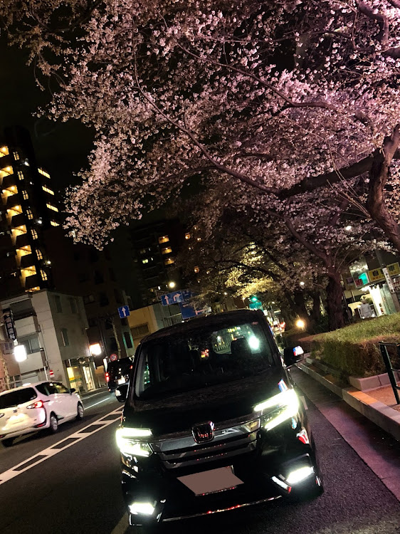 ステップワゴンの桜とコラボに関するカスタム事例の投稿画像2枚目