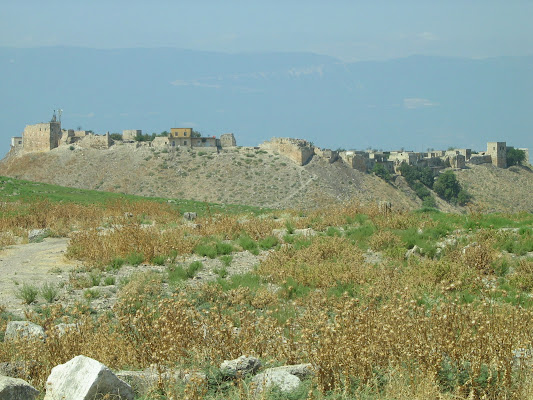 Pianura della Siria di archiviobesozzi