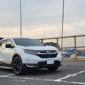 CR-V RW1