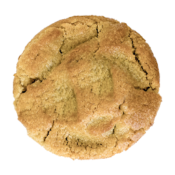 Peanut Butter Cookie