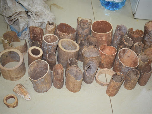 Some of the 88 pieces of elephant tusks that a woman was found with in Msambweni, Kwale county on March 29, 2017. /ALLOYS MUSYOKA