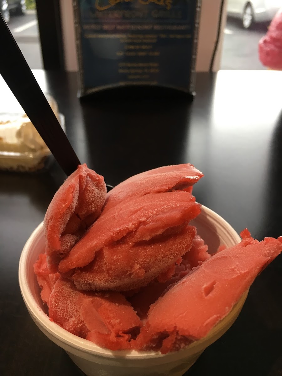 Four flavors of sorbet that are GF and DF. When I told them about my food allergies they got my sorbet from a new container in the back with a clean scooper.