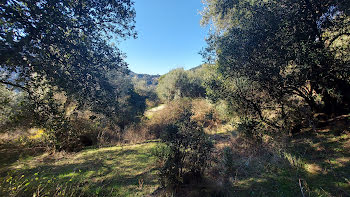 terrain à Vico (2A)