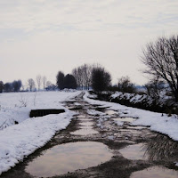 Un quieto mattino d' inverno... di 