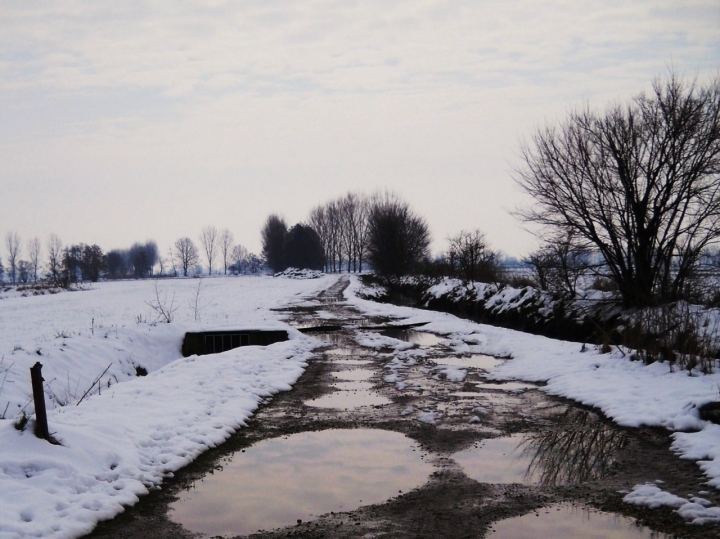 Un quieto mattino d' inverno... di kaale