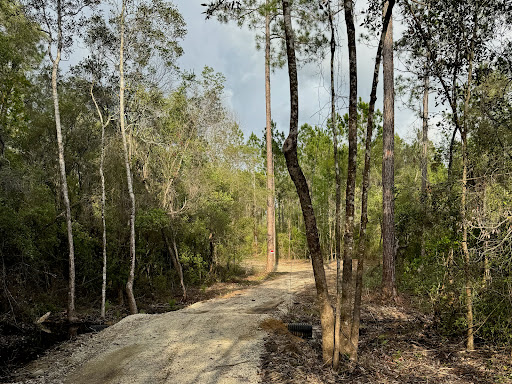 Land 5