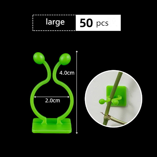 50pcs large