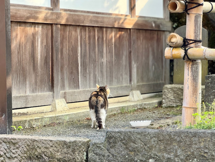 の投稿画像9枚目