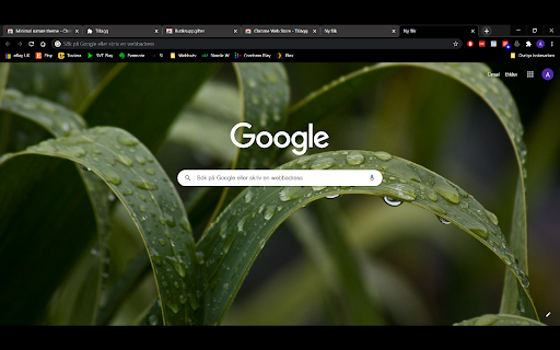 Minimal nature theme