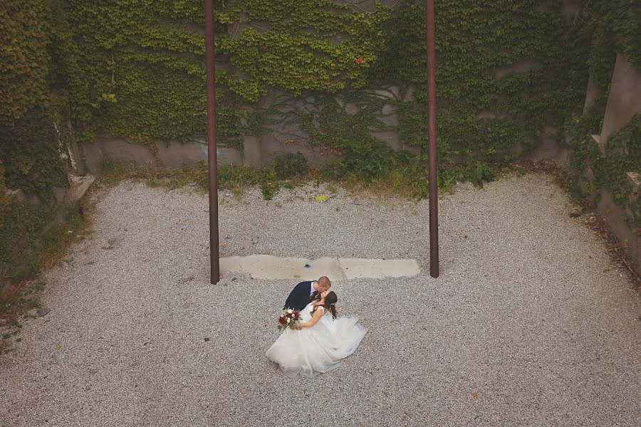 Fotografo di matrimoni Zach Dalin (zachdalin). Foto del 23 settembre 2019