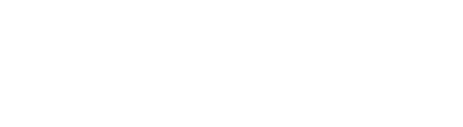 Logo Stella Bida