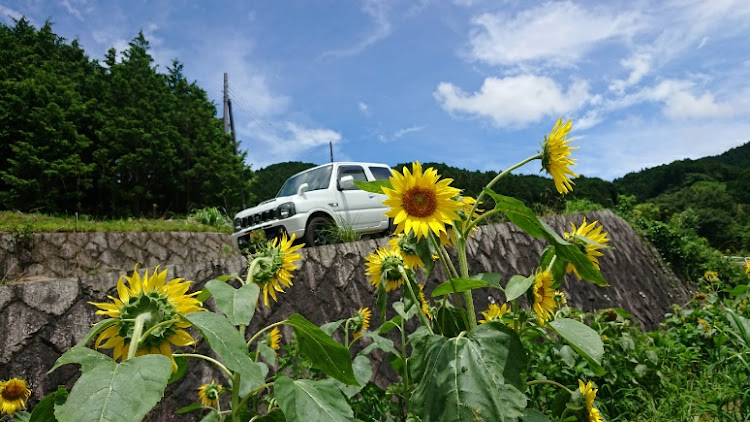 フィットの天下上人😎さんが投稿したカスタム事例の投稿画像8枚目