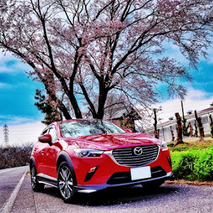 CX-3 DK5FW