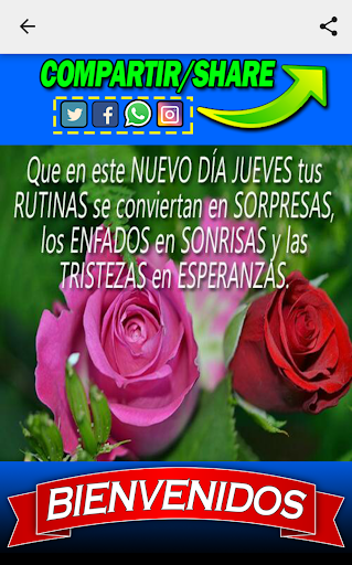 Saludos días de la semana