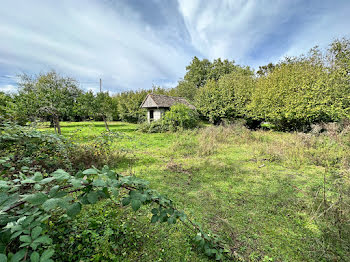 terrain à Souppes-sur-Loing (77)