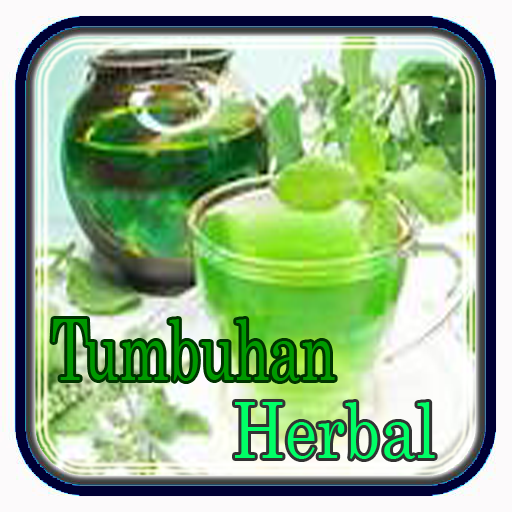 Tumbuhan Herbal Rumahan