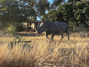 The first obstacle encountered at the start of the Marakele national park eco 4x4 trail.