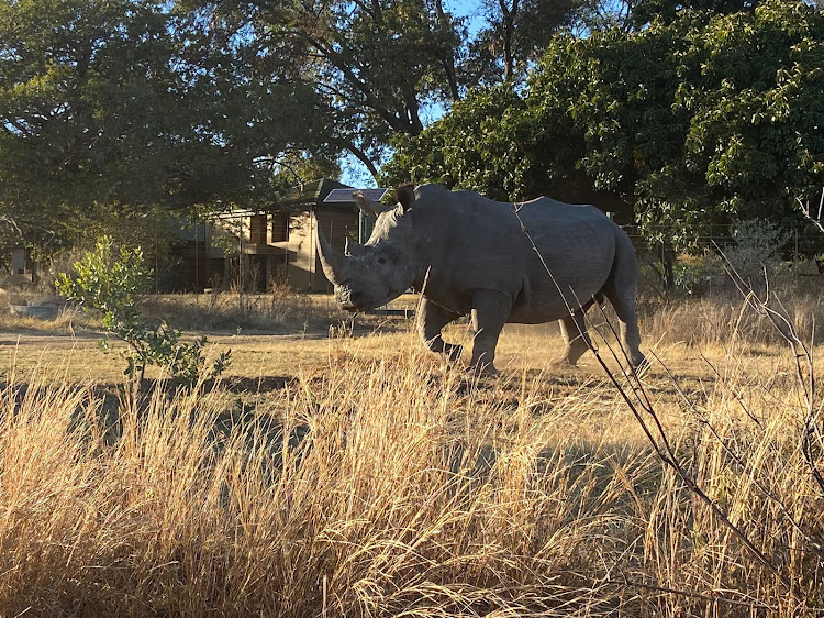 The first obstacle encountered at the start of the Marakele national park eco 4x4 trail.