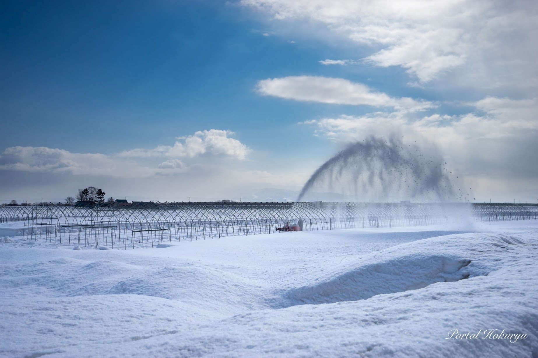 ハウスの除雪