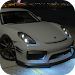 Top Simulator Porsche Cayman GT4 Edition Icon