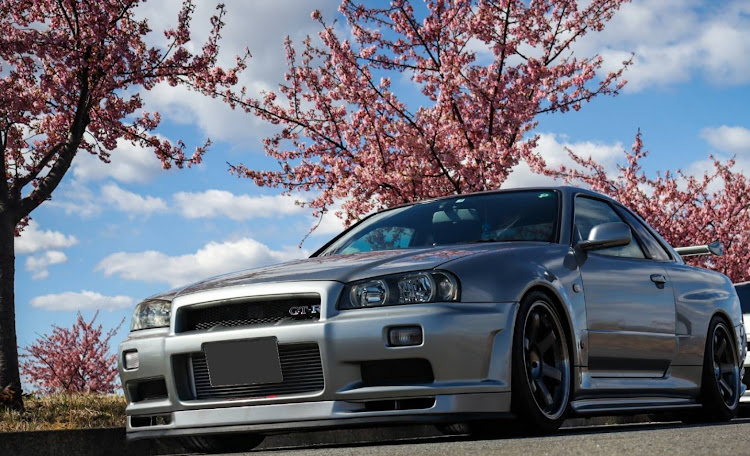 スカイライン GT-Rの鼠R・サクラと愛車・河津桜編・4月もよろしくお願い致します🌸・頂き📸🙏に関するカスタム事例の投稿画像1枚目