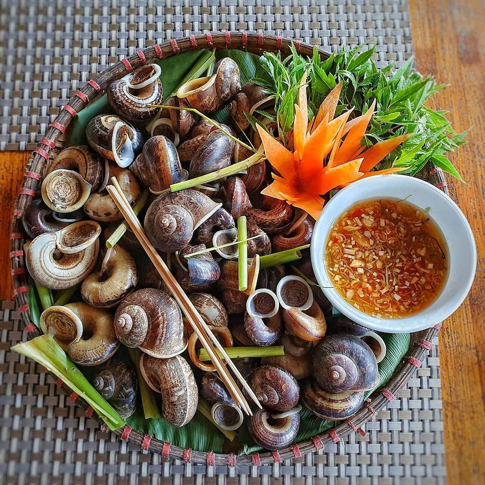 ninh-binh-mountain-snail