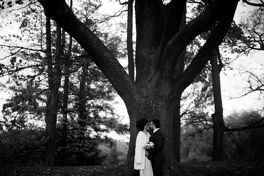 Wedding photographer Pavel Shved (shvedart). Photo of 13 November 2016