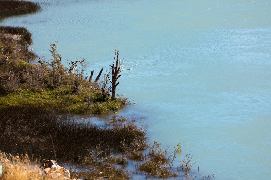 Патагония: Carretera Austral - Фицрой - Торрес-дель-Пайне. Треккинг, фото.